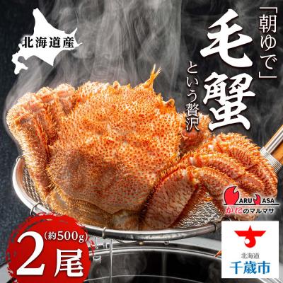 ふるさと納税 千歳市 北海道産【朝ゆで】毛ガニ(500g前後)2尾 期間限定!＜かにのマルマサ＞