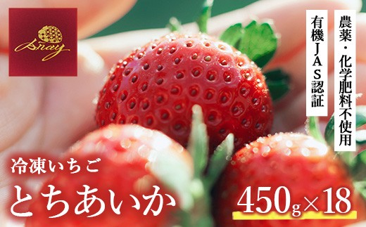 有機JAS認証いちご使用 冷凍いちご  450g×18