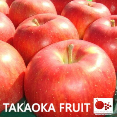 【ふるさと納税】「産地より信州中野の旬をお届け」 シナノスイート　贈答用　約5kg_ りんご 林檎 リンゴ シナノスイート フルーツ 果物 ふるーつ くだもの 国産 旬 ギフト 贈答 産地直送 信州 長野 人気 品種 送料無料 産直 【1306564】
