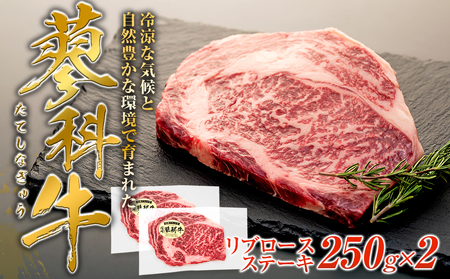 蓼科牛 リブロースステーキ250g×2