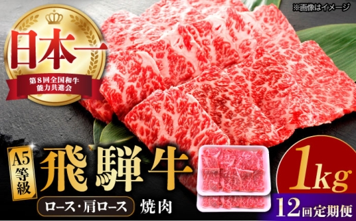 【12回定期便】 飛騨牛 焼肉用 ロース・肩ロース 1kg A5等級 和牛 ブランド牛 国産 牛肉 多治見市 / 渡辺精肉店 [TAZ037]