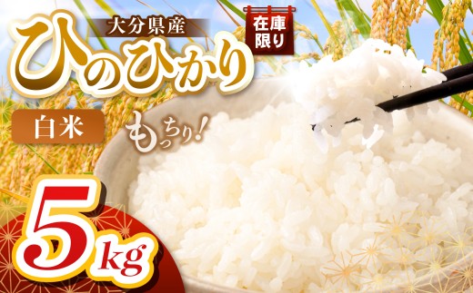 【令和7年産】大分県産 ヒノヒカリ 白米 5kg | お米 米 おこめ こめ 精米 ひのひかり 単一米 ご飯 九州産 国産 国産米 大分県米 九州米 大分県 中津市