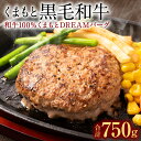 【ふるさと納税】くまもと黒毛和牛 和牛100％ ハンバーグ くまもとDREAMバーグ 150g×5 合計750g 黒毛和牛 牛肉100% 九州産 国産 熊本県産 手作り 牛肉 お肉 焼くだけ 簡単調理 惣菜 おかず お取り寄せ グルメ 冷凍 送料無料