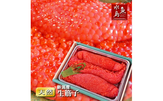 令和6年産 先行予約 生筋子 1kg【 新潟県産 予約 はらこ いくら J41 】