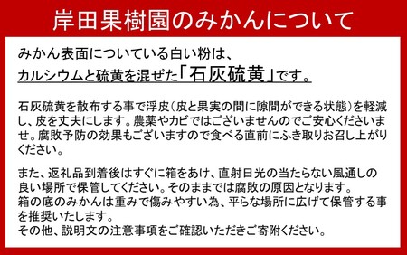 【訳あり】南津海（なつみ）みかん約5kg_2170R