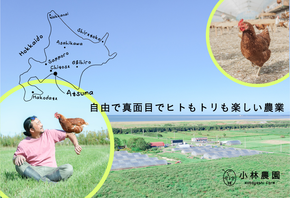 【月2回・全6回定期便】こだわりの無投薬･平飼い有精卵 25個《厚真町》【テンアール株式会社】 たまご 卵 鶏卵 玉子 生卵 平飼い 北海道 定期便 [AXAN026]