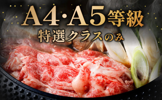 【数量・期間限定】復刻！A4～A5 九州産 黒毛和牛 肩ロース スライス 計約1.2kg（約400g×3パック）【2026年9月発送】黒毛和牛 和牛 牛 牛肉
