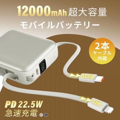 ふるさと納税 名古屋市 【2025年モデル】モバイルバッテリー 12000mAh 46.2Wh <グレー> |  | 02