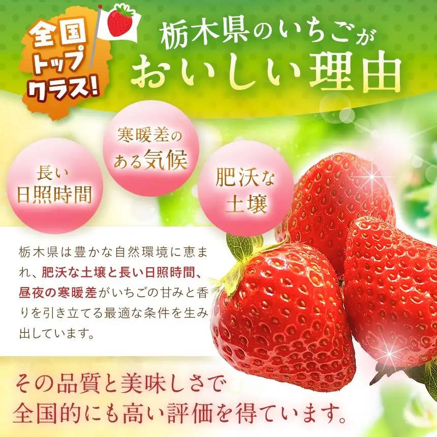  【2027年先行予約】〔定期便2回〕鮮度抜群 いちご とちあいか 290g×10P【栃木県共通返礼品 真岡市産】 栃木県矢板市