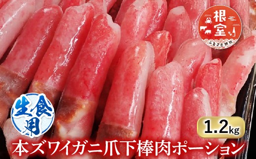 B-28084 根室海鮮市場＜直送＞生食用本ズワイガニ爪下棒肉ポーション1.2kg