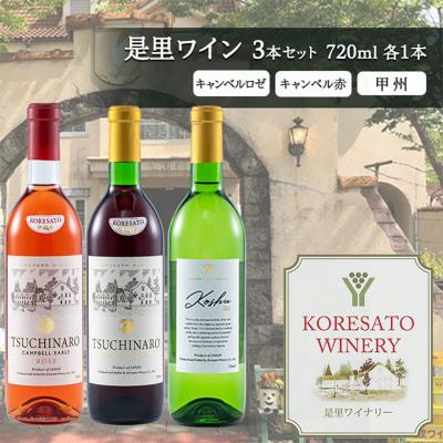 ふるさと納税 赤磐市 ワイン 果実酒 キャンベルロゼ キャンベル赤 甲州 720ml　各1本[NO5765-1253]