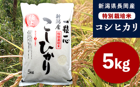 48-8N051新潟県長岡産特別栽培米コシヒカリ5kg