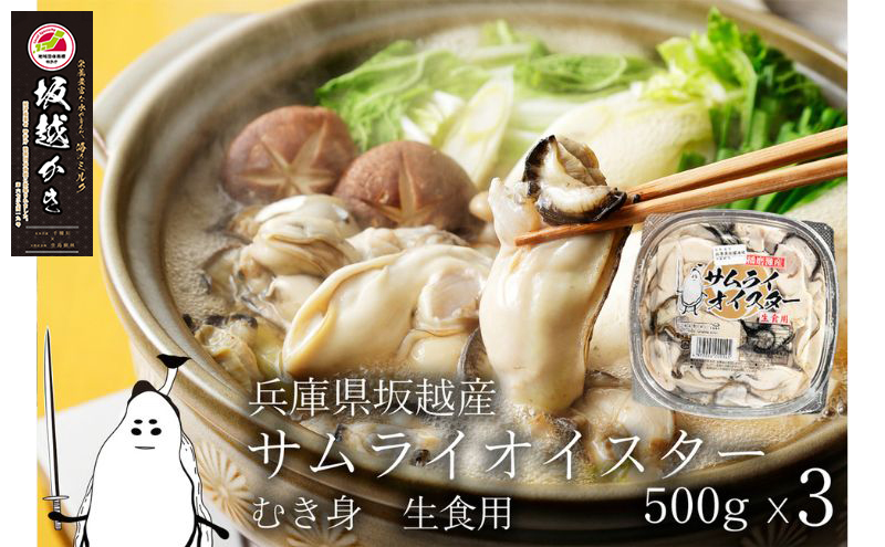 牡蠣 生食 坂越かき むき身 500g×3 サムライオイスター かき 生牡蠣 兵庫県 赤穂市