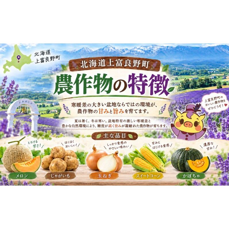【令和8年産】じゃがいも【きたあかり】Lサイズ 約5kg≪北海道上富良野産≫ 野菜 ポテト 芋 産地直送_イメージ3
