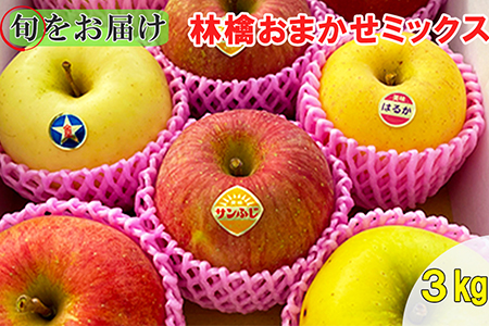  【贈答用】旬のりんご・おまかせミックス！【６～８品種】花巻産約３kg 【1245】