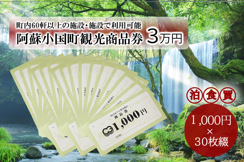 【ASOおぐに観光協会】熊本 阿蘇 小国町 杖立温泉 わいた温泉郷 湯けむり 蒸し湯 ジャージー牛乳 小国杉 旅行 観光 宿泊 飲食 お買い物 お土産 商品券 宿泊券 1000円券 30枚 3万円 現地払い利用 地域振興 旅行支援