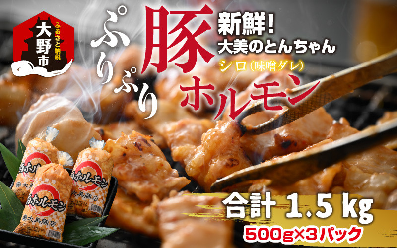 
            【先行予約】大美のとんちゃん（白）豚ホルモン シロ 味噌ダレ 1.5kg（500g×3パック）【2026年1月17日～順次発送開始】
          