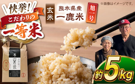 【先行予約】 【天日塩を使用】一鹿米 旭一号 米 玄米 5kg【株式会社 夢アグリ】[ZCL015]