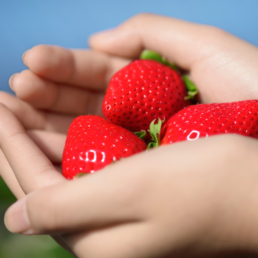 ＜岩田屋本店・南国フルーツ＞佐賀のいちご・いちごさん4パック