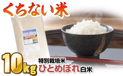 
            【 令和6年産 新米 】くちない米（特別栽培米 ひとめぼれ 白米）10kg お米 岩手産 東北 おいしいお米 産地直送 産直 あぐり夢 岩手県 北上市 E0269 [11/29より寄附額変更となりました]
          