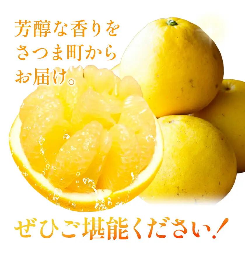 【先行予約】家庭用 みかん サワーポメロ 10kg よしたか農園 《2027年2月上旬～3月下旬頃出荷》