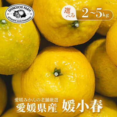 【ふるさと納税】【黄色いのに驚きの甘さ】媛小春 2kg / 3kg / 5kg 【老舗農家厳選】_ みかん ミカン 蜜柑 媛小春 果物 くだもの フルーツ デザート おいしい 甘い かんきつ 柑橘 柑橘類 国産 愛媛 えひめ 愛媛県 八幡浜市 【G1592106】