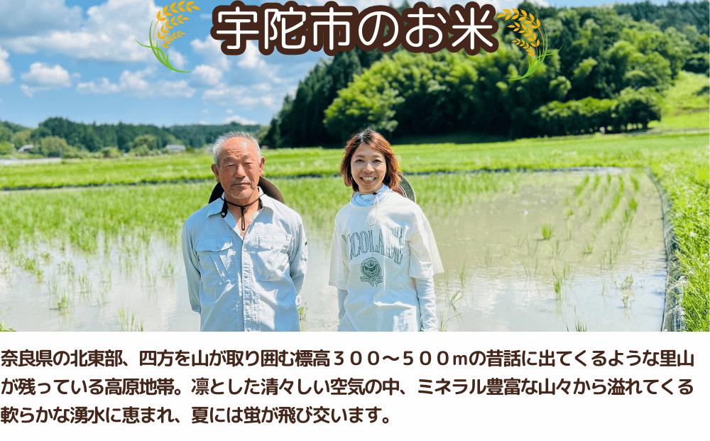  先行予約販売★自然栽培米★新米【令和6年産】玄米  5kg ９月末より順次発送 /自然栽培米 新米 令和6年産 玄米  農家やまおか 無農薬 国産 お米 奈良県 宇陀市