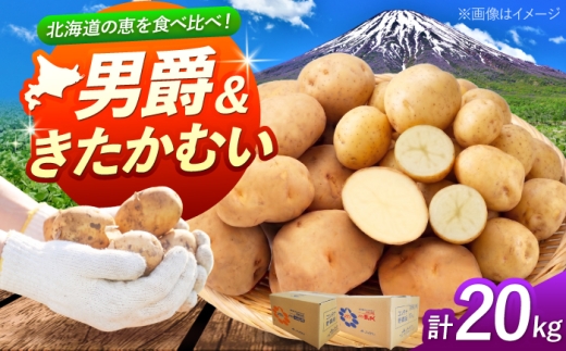 【2027年1月上旬以降順次発送】 じゃがいも 食べ比べセット（男爵・きたかむい）計20kg （10kg×2種） | じゃがいも ジャガイモ 男爵芋 きたかむい 北海道 産地直送 セット 先行予約 | 株式会社Aコープようてい [BPAT013]