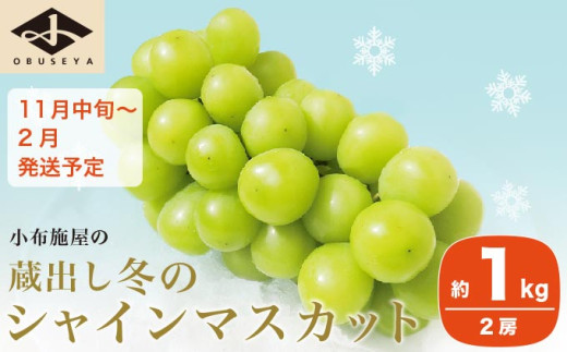 蔵出し冬のシャインマスカット 約1kg 2房 ［小布施屋 ］長野県 ぶどう フルーツ 果物 冷蔵便 クール便 令和7年産【2025年11月中旬～2026年2月発送】［A-502］