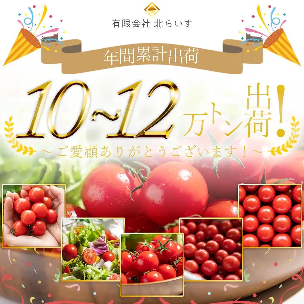 トマト フルーツトマト 12パック(150g×12) 高糖度〈2026年12月以降順次配送〉 個包装 kr-0084