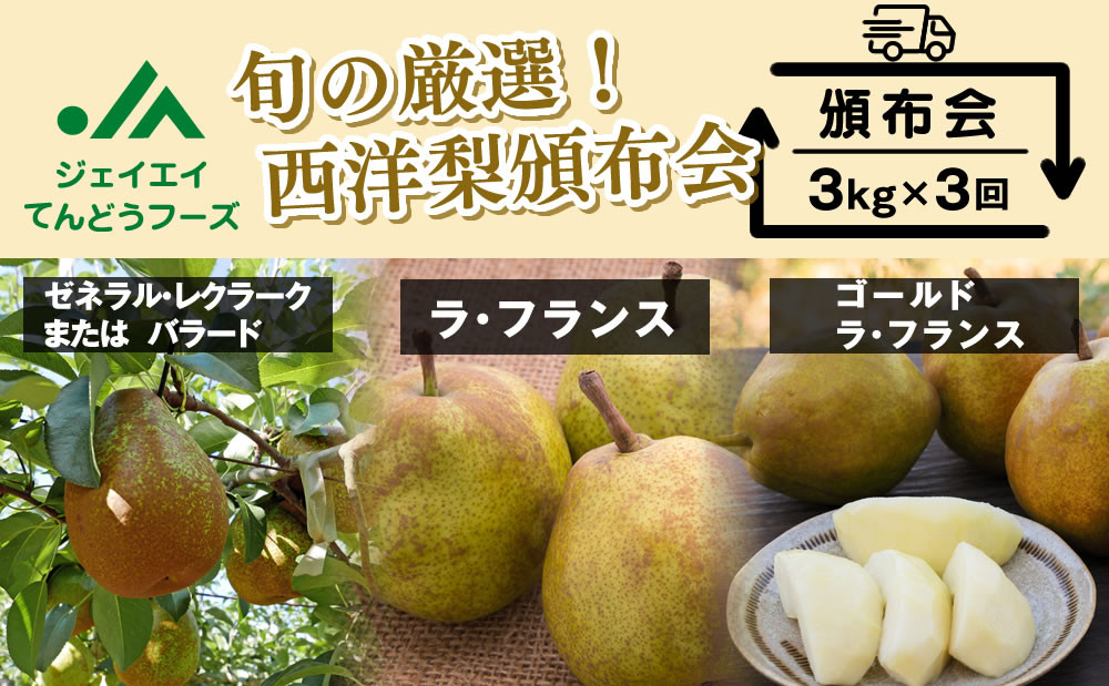 
                  08-01-105　西洋梨の頒布会（定期便）全3回
                