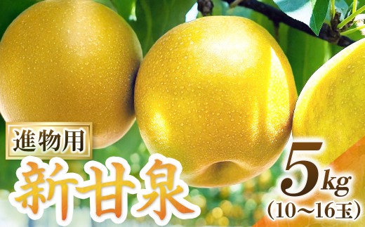新甘泉【進物】5kg（東商果樹園） 鳥取 梨 果物 フルーツ 和梨 新甘泉 しんかんせん 人気 甘い 進物 贈答用