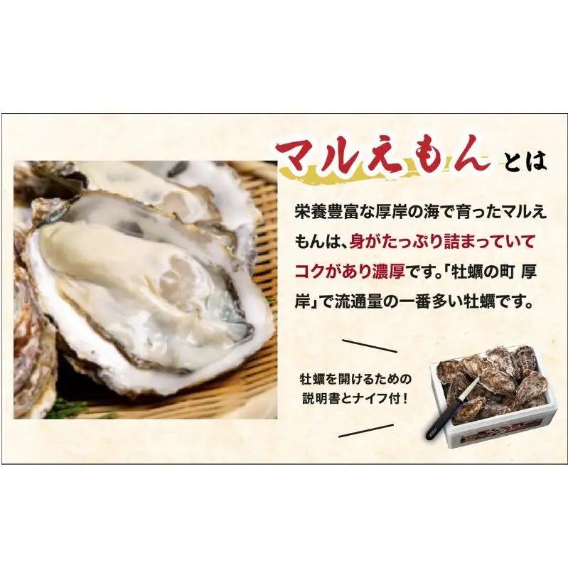 厚岸産牡蠣 Mサイズ 12個 生食用 ブランド牡蠣