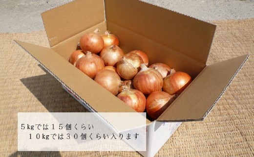 【淡路夢ファーム】　玉ねぎ（淡路玉三郎）