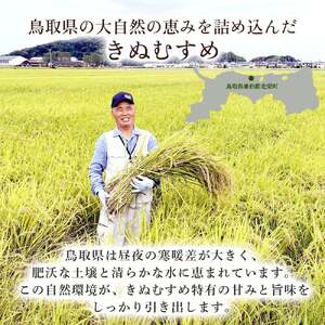 【新米】【在庫限定】令和7年産米 きぬむすめ 5kg （大上農園）数量限定 お米 こめ 白米 きぬむすめ