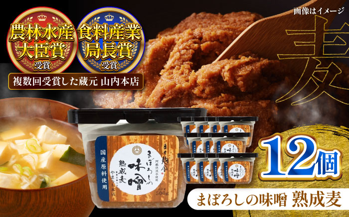 まぼろしの味噌 熟成麦 500g×12個セット【株式会社山内本店】 [BHAE021]