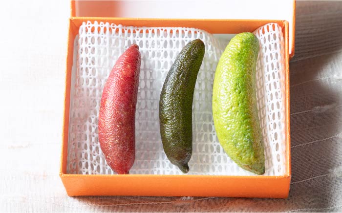 【先行予約】フィンガーライム 30g 【季節限定10月末～12月】【梛ファーム】 [JEJ001] ライム フルーツ 果物 新鮮 16000 16000円