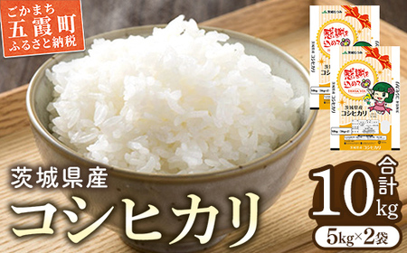 ★レビューキャンペーン開催中★令和7年産 茨城県産コシヒカリ10kg (5kg×2) ／ お米 精米 こしひかり 旨味 安心 美味しい JA茨城むつみ 茨城県 五霞町【価格改定】