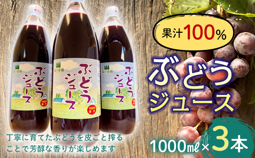 果汁100% ぶどうジュース (1000ml瓶×３本) 【森の菜園】 ブドウ 葡萄 グレープ ブドウジュース 葡萄ジュース フルーツ王国 青森県 南部町産 三戸 南部 1l 1L セット F21U-198