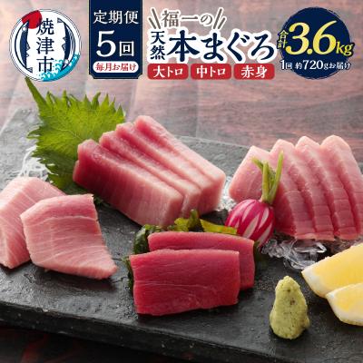 ふるさと納税 焼津市 【定期便】 天然本まぐろセット 5回届け(b200-036)