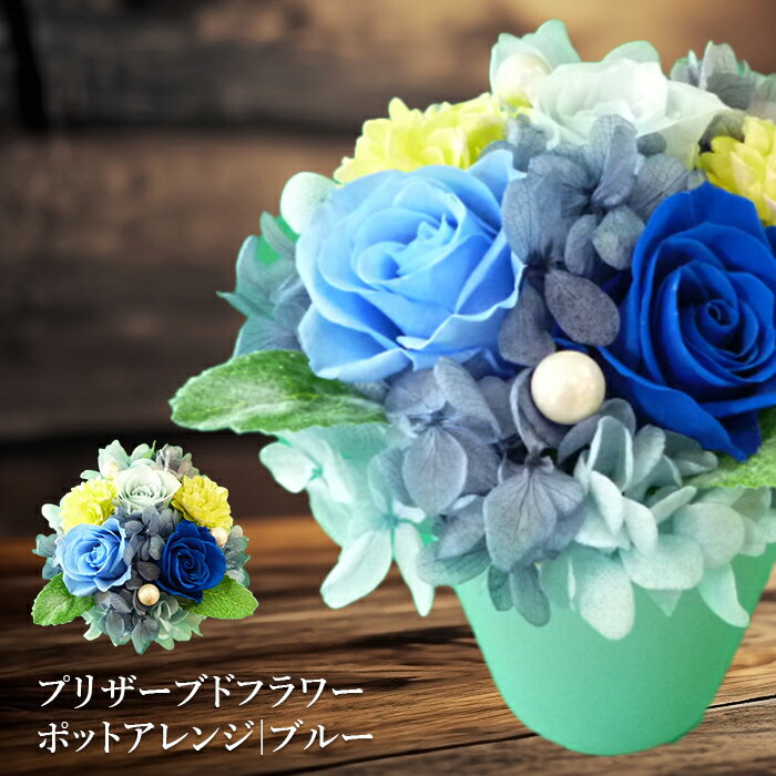 【ふるさと納税】プリザーブドフラワー ポットアレンジ （ブルー） フラワーアレンジ プリザーブドフラワー 花 お花 ギフト インテリア 母の日 記念日 北海道 ふるさと納税 恵庭市 恵庭 【140018】