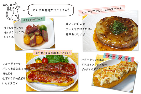 2024年9月より発送！ 野菜ソムリエ“産直松の実の松原店長”厳選！ヨーロッパ野菜BOX 8品 ／ 人気 産直 採れたて 野菜