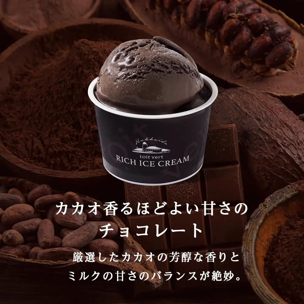 リッチアイスクリーム カカオ香るほどよい甘さのチョコレート 10個セット（100ml）