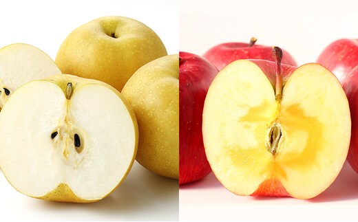 
										
										【9月,11月発送定期便】2024年信州の梨&りんご 品種おまかせ 約3キロ全2回
									