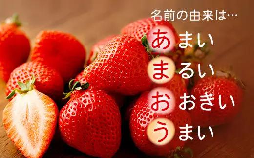 【アフター保証】贈答用 あまおう 約400g【2027年2月上旬～2027年4月上旬発送予定】 いちご イチゴ 苺 化粧箱入り
