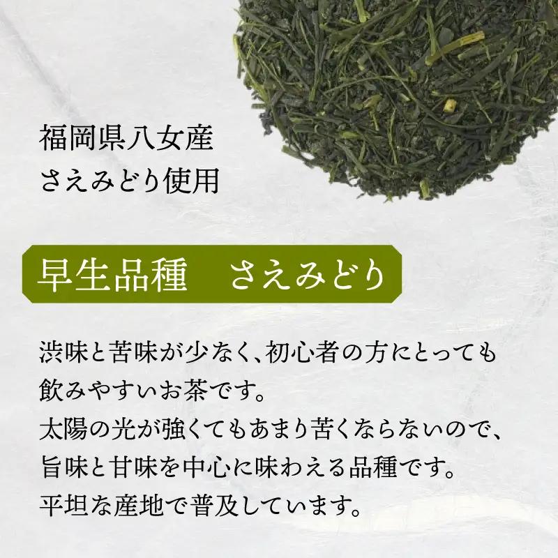 深蒸し 八女茶「定庵あおか 30g」 028-019