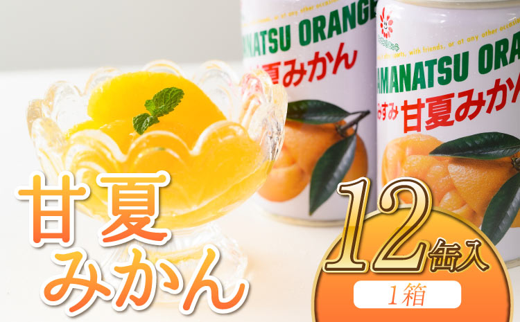 甘夏みかん 甘夏缶詰 12缶 160g