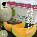 【ふるさと納税】まさに女王！北海道栗山町ブランドメロン「きららクイーン」《2玉・4玉》