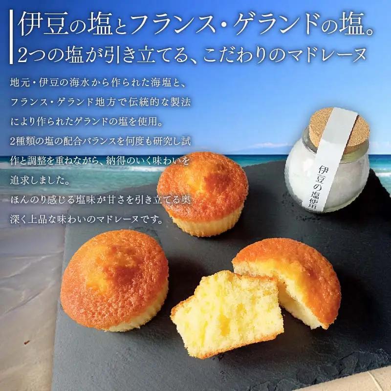 伊豆塩マドレーヌ 8個入り マドレーヌ