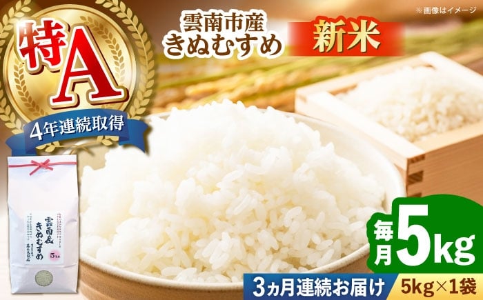 
            お米【全3回定期便】雲南市産きぬむすめ 5kg 米 こめ おこめ はくまい 白米 ライス 精米 コメ 特A 5キロ 使いやすい ごはん ご飯 おにぎり お弁当 朝ごはん 便利 朝食 食卓 主食 グルメ おいしい つや あっさり 飽きない もっちり 食感 国産 新生活 一人暮らし 家族 ご当地 ごはんソムリエ おすすめ 人気 定期便島根県雲南市/有限会社藤本米穀店 [AIDB102]
          